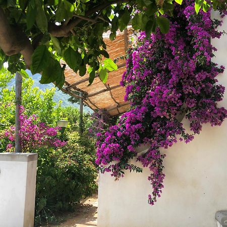 Bed and Breakfast Casa Flora à Vietri Extérieur photo