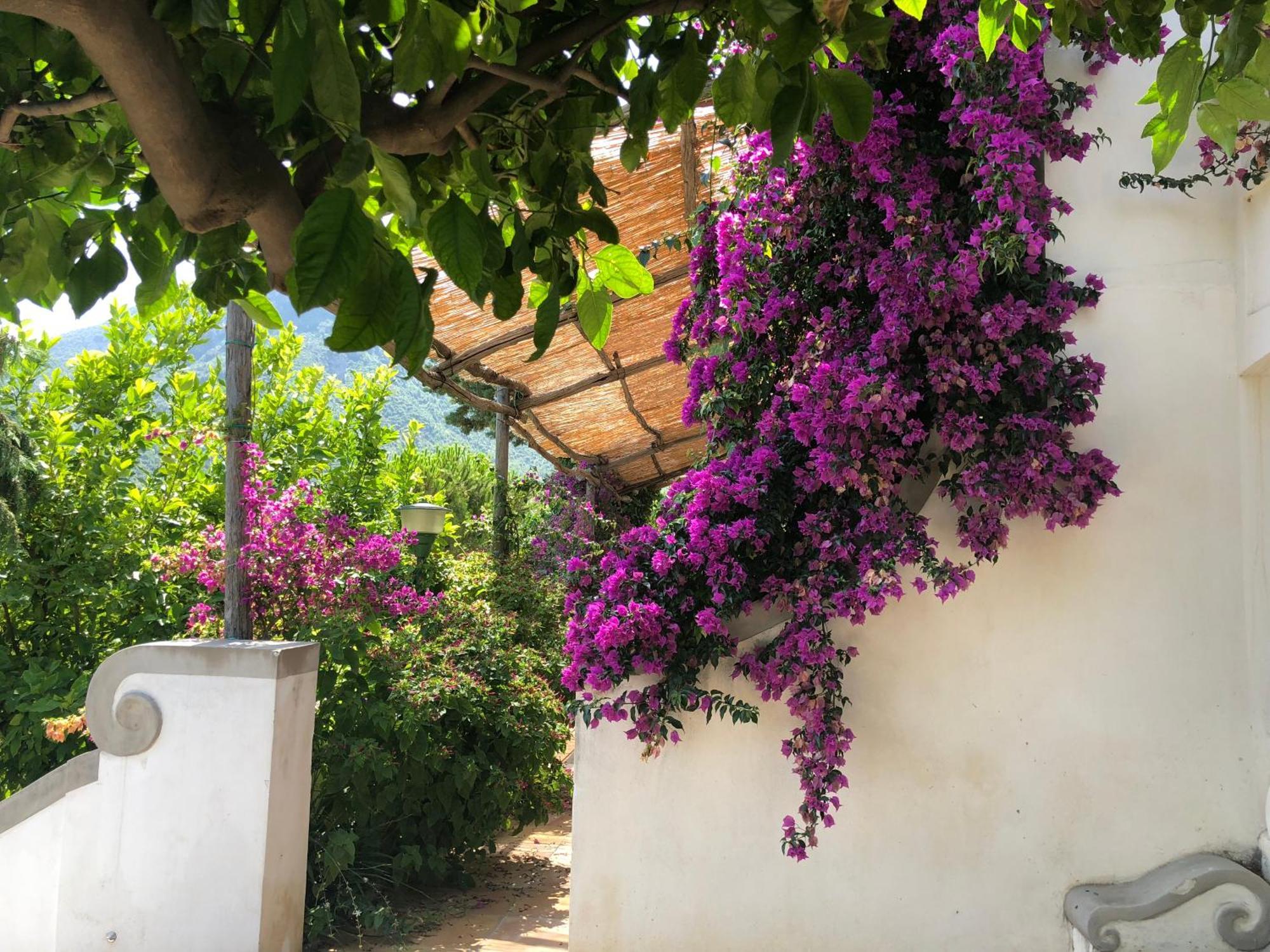 Bed and Breakfast Casa Flora à Vietri Extérieur photo